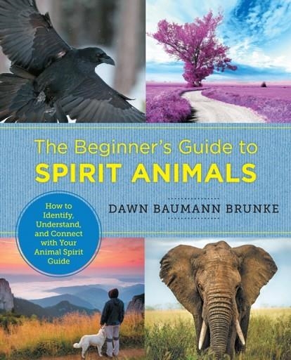 THE BEGINNER'S GUIDE TO SPIRIT ANIMALS : HOW TO IDENTIFY, UNDERSTAND, AND CONNECT WITH YOUR ANIMAL SPIRIT GUIDE | 9780760379943 | DAWN BAUMANN BRUNKE