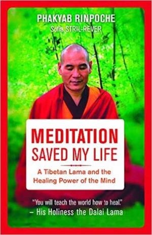 MEDITATION SAVED MY LIFE : A TIBETAN LAMA AND THE HEALING POWER OF THE MIND | 9781608684625 | PHAKYAB RINPOCHE