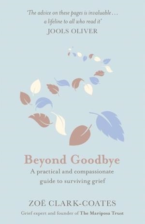 BEYOND GOODBYE : A PRACTICAL AND COMPASSIONATE GUIDE TO SURVIVING GRIEF, WITH DAY-BY-DAY RESOURCES TO NAVIGATE A PATH THROUGH LOSS | 9781409185406 | ZOE CLARK-COATES
