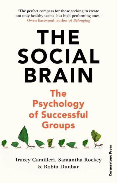 THE SOCIAL BRAIN : THE PSYCHOLOGY OF SUCCESSFUL GROUPS | 9781847943613 | TRACEY CAMILLERI