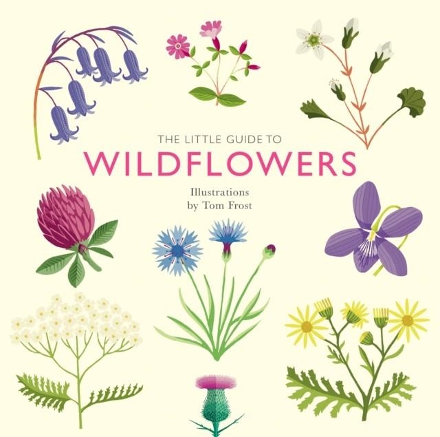 THE LITTLE GUIDE TO WILDFLOWERS | 9781787139589 | ALISON DAVIES