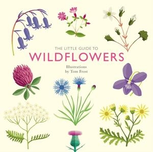 THE LITTLE GUIDE TO WILDFLOWERS | 9781787139589 | ALISON DAVIES