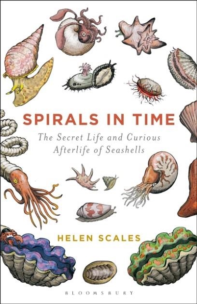 SPIRALS IN TIME : THE SECRET LIFE AND CURIOUS AFTERLIFE OF SEASHELLS | 9781472911384 | HELEN SCALES