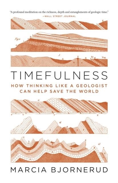 TIMEFULNESS : HOW THINKING LIKE A GEOLOGIST CAN HELP SAVE THE WORLD | 9780691202631 | MARCIA BJORNERUD