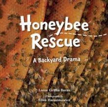 HONEYBEE RESCUE : A BACKYARD DRAMA | 9781623542399 | LOREE GRIFFIN BURNS , ELLEN HARASIMOWICZ