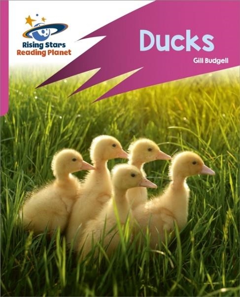 READING PLANET: ROCKET PHONICS – TARGET PRACTICE – DUCKS – PINK B | 9781398325821