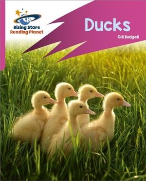 READING PLANET: ROCKET PHONICS – TARGET PRACTICE – DUCKS – PINK B | 9781398325821