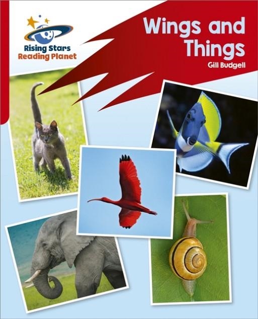 READING PLANET: ROCKET PHONICS – TARGET PRACTICE – WINGS AND THINGS – RED B | 9781398325968