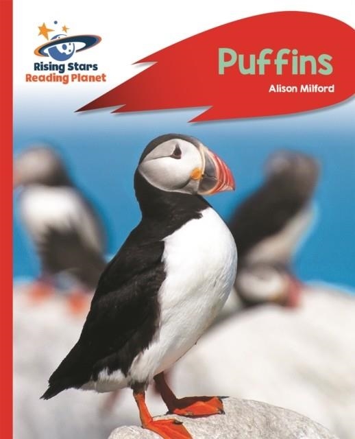 PUFFINS - RED A: ROCKET PHONICS | 9781471880018