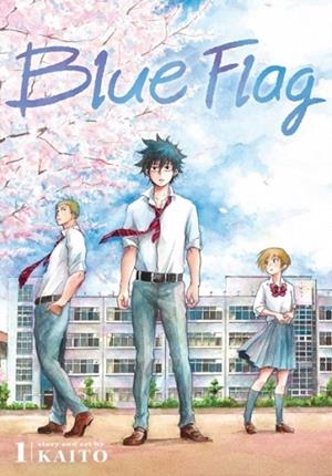 BLUE FLAG, VOL. 1 | 9781974713011 | KAITO