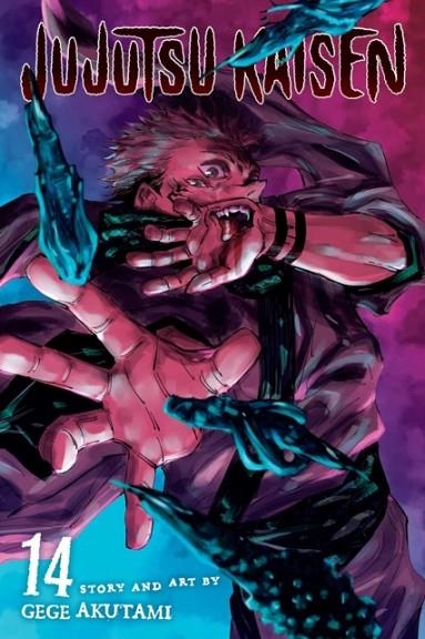 JUJUTSU KAISEN, VOL. 14 | 9781974725328 | GEGE AKUTAMI