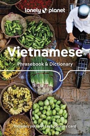 VIETNAMESE PHRASEBOOK DICTIONARY 9 | 9781788680813