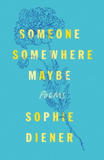 SOMEONE SOMEWHERE MAYBE | 9781250892713 | SOPHIE DIENER