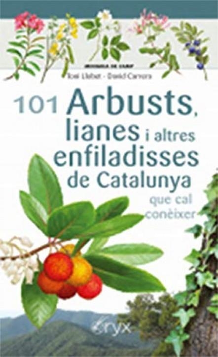 101 ARBUSTS, LIANES I ALTRES ENFILADISSES DE CATALUNYA | 9788413560397