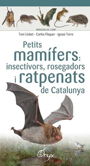 PETITS MAMÍFERS: INSECTÍVORS, ROSEGADORS I RATPENATS DE CATALUNYA | 9788490348956 | FLAQUER, CARLES/TORRE, IGNASI/LLOBET FRANÇOIS, TONI