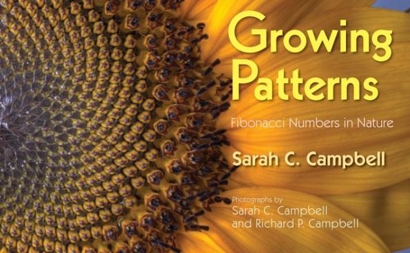 GROWING PATTERNS: FIBONACCI NUMBERS IN NATURE | 9781635928372 | SARAH CAMPBELL