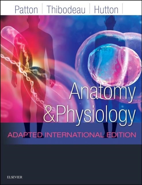 ANATOMY AND PHYSIOLOGY : ADAPTED INTERNATIONAL EDITION | 9780702078606 |  THIBODEAU, GARY A.;  HUTTON, ANDREW