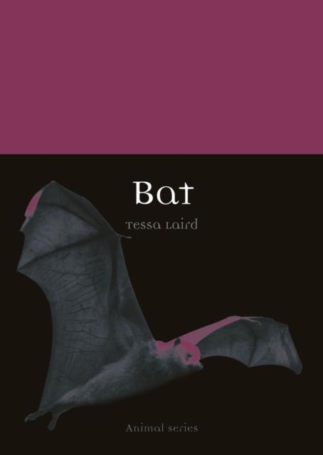 BAT | 9781780238944 | TESSA LAIRD