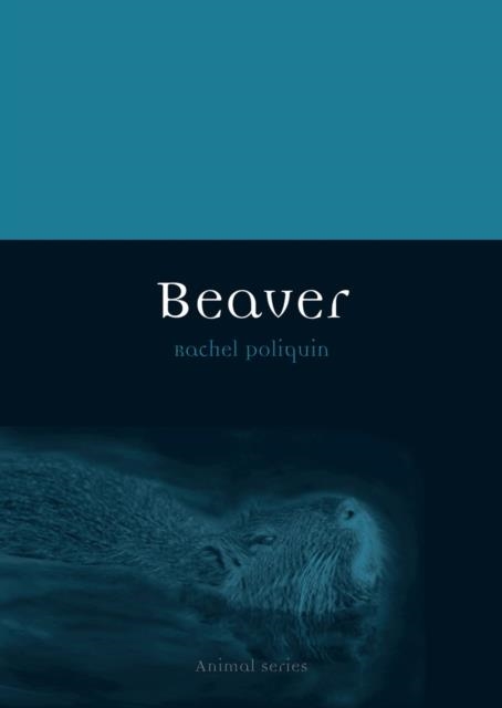 BEAVER | 9781780234236 | RACHEL POLIQUIN