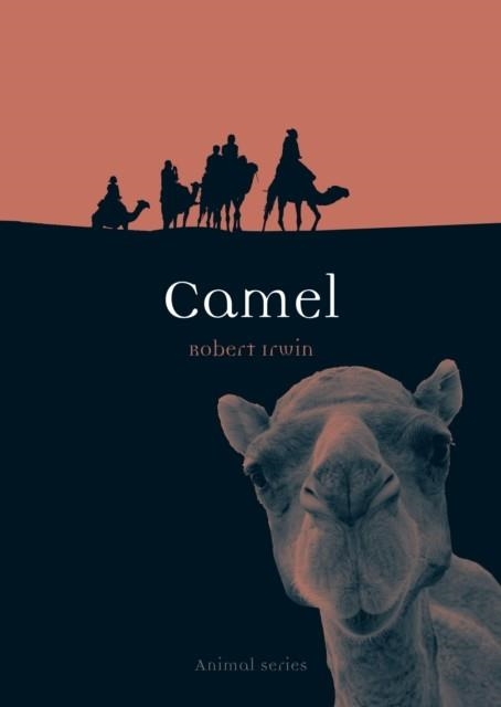 CAMEL | 9781861896490 | ROBERT IRWIN
