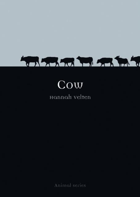 COW | 9781861893260 | HANNAH VELTEN