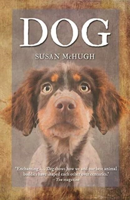 DOG | 9781789141283 | SUSAN MCHUGH