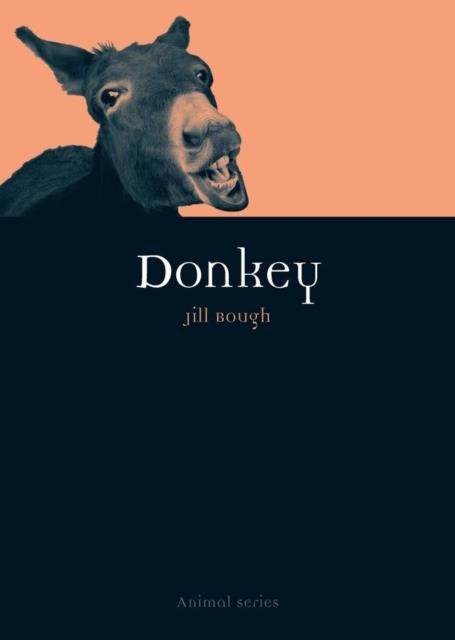 DONKEY | 9781861898036 | JILL BOUGH