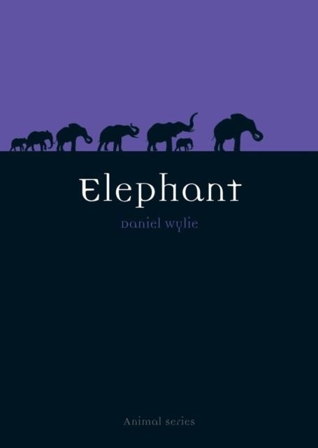ELEPHANT | 9781861893970 | DANIEL WYLIE
