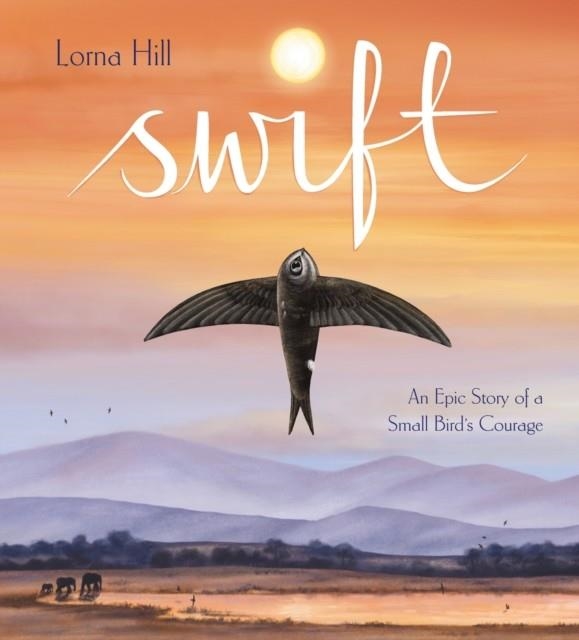 SWIFT : AN EPIC STORY OF A SMALL BIRD'S COURAGE | 9781526365255 | LORNA HILL