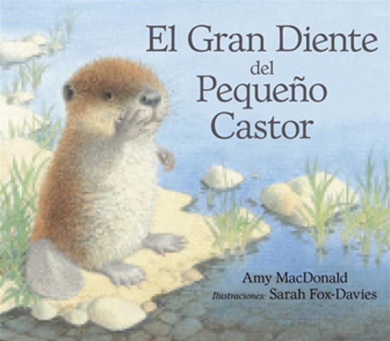 EL GRAN DIENTE DEL PEQUEÑO CASTOR | 9788493933951 | MC DONALD, AMI/FOX DAVIES, SARAH