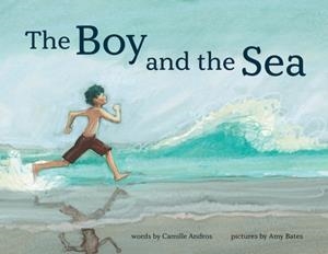 THE BOY AND THE SEA | 9781419749407 | CAMILLE ANDROS
