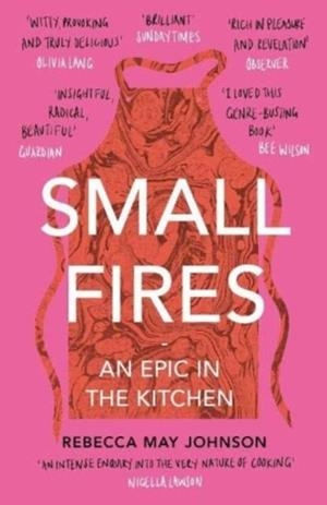SMALL FIRES | 9781911590491 | REBECCA MAY JOHNSON