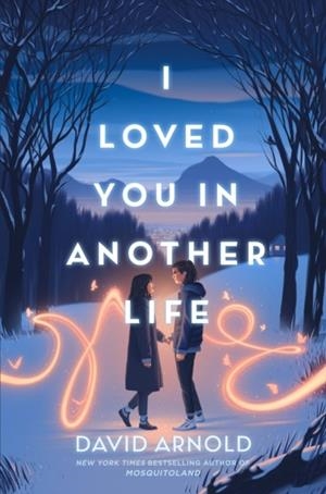 I LOVED YOU IN ANOTHER LIFE | 9780593691014 | DAVID ARNOLD