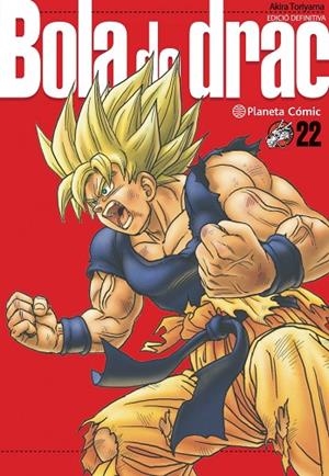 BOLA DE DRAC DEFINITIVA Nº 22/34 | 9788413419046 | AKIRA TORIYAMA