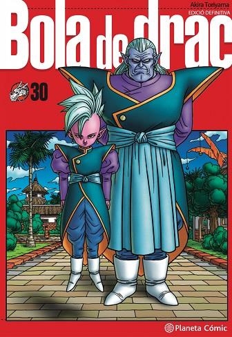 BOLA DE DRAC DEFINITIVA Nº 30/34 | 9788413419121 | AKIRA TORIYAMA
