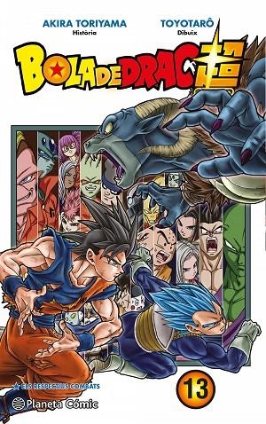 BOLA DE DRAC SUPER Nº 13 | 9788491730323 | AKIRA TORIYAMA