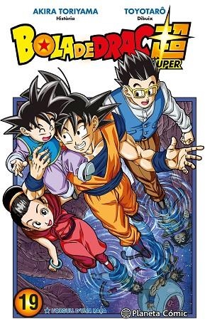 BOLA DE DRAC SUPER Nº 19 | 9788491746539 | AKIRA TORIYAMA