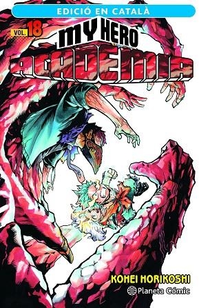 MY HERO ACADEMIA Nº 18 (CATALÀ) | 9788411401920 | KOHEI HORIKOSHI