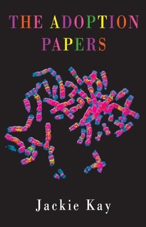 THE ADOPTION PAPERS | 9781852241568 | JACKIE KAY