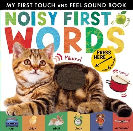 NOISY FIRST WORDS : MY FIRST TOUCH AND FEEL SOUND BOOK | 9781848698499 | LIBBY WALDEN 