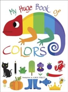 MY HUGE BOOK OF COLORS | 9788854417885 | AGNESE BARUZZI