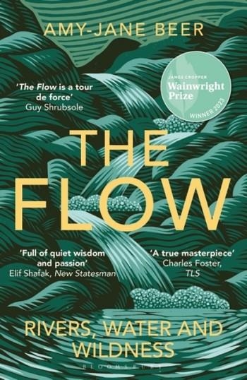 THE FLOW | 9781472977403 | AMY-JANE BEER