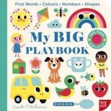 MY BIG PLAYBOOK | 9781839949241 | INGELA P ARRHENIUS