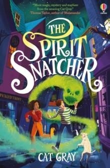 THE SPIRIT SNATCHER | 9781801310048 | CAT GRAY