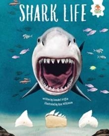 SHARK LIFE | 9781915461704 | ANNABEL GRIFFIN