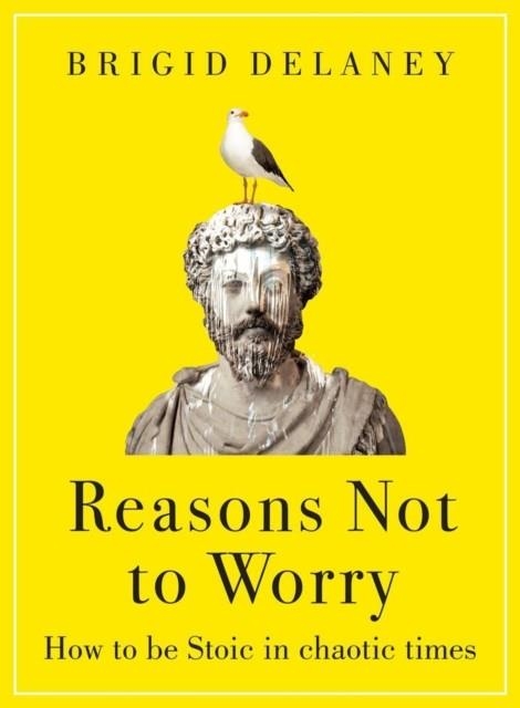 REASONS NOT TO WORRY : HOW TO BE STOIC IN CHAOTIC TIMES | 9780349436296 | BRIGID DELANEY
