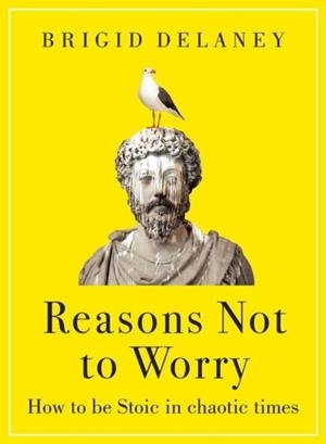 REASONS NOT TO WORRY : HOW TO BE STOIC IN CHAOTIC TIMES | 9780349436296 | BRIGID DELANEY