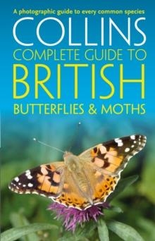 BRITISH BUTTERFLIES AND MOTHS | 9780008106119 | PAUL STERRY