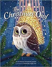 THE CHRISTMAS OWL | 9781839132438 | GIDEON STERER