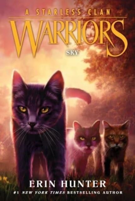 WARRIORS: A STARLESS CLAN #2: SKY | 9780063050174 | ERIN HUNTER